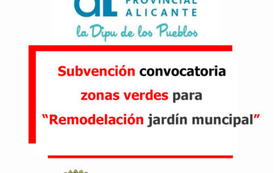 CONCESIÓN DE SUBVENCIÓN