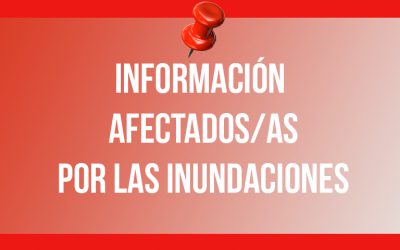 DAÑOS EN ENSERES Y VIVIENDA (RDL 11/2019 )