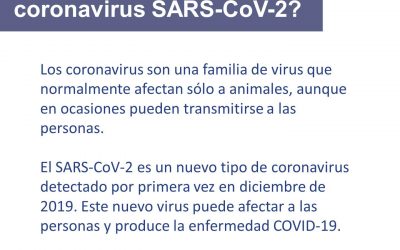 Preguntas y respuestas sobre el nuevo coronavirus (COVID-19)