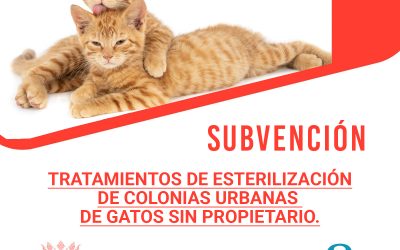 Subvención Tratamientos de esterilización de colonias urbanas de gatos sin propietario